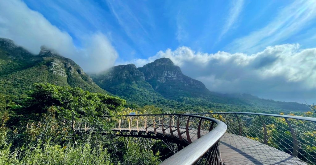 Kirstenbosch National Botanical Garden

Wande