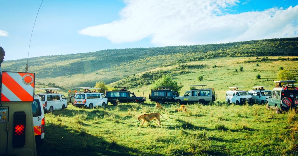 Masai Mara National Reserve 