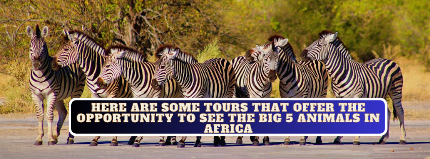 Top Best African Safari Parks and Destinations