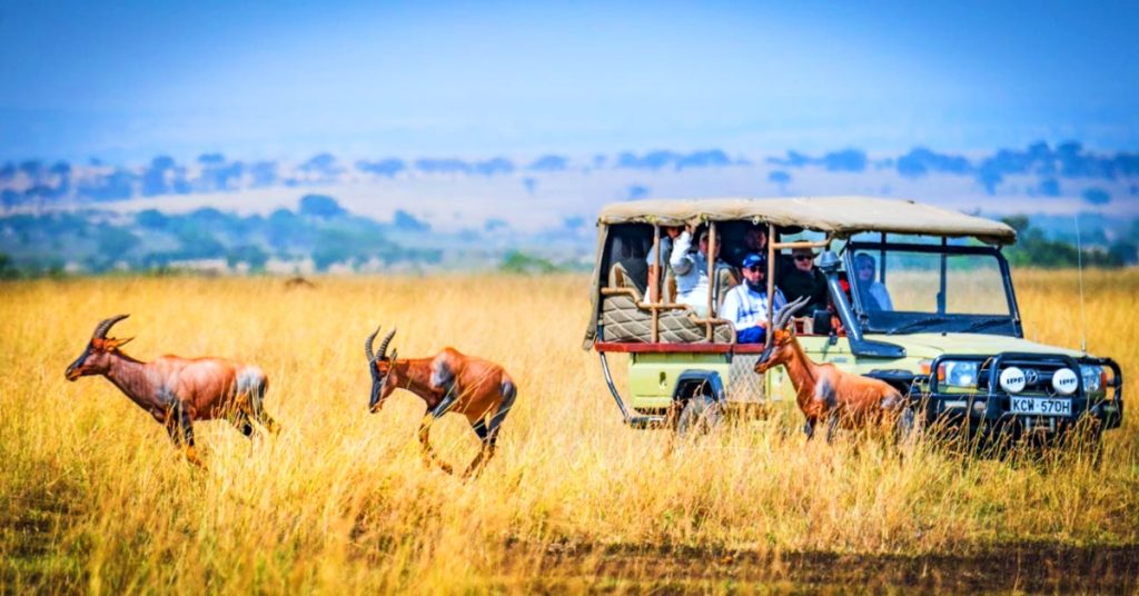 Top Best African Safari Parks and Destinations